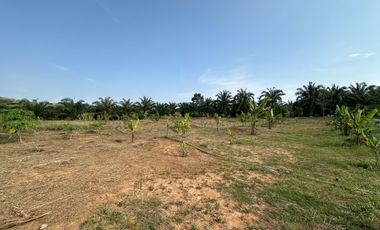 Land for sale in Kalai, Phangnga