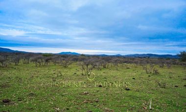 Cauquenes, campo de rulo, ideal para viñas