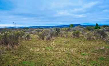 Cauquenes, campo de rulo, ideal para viñas