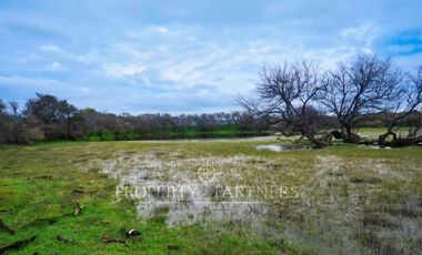 Cauquenes, campo de rulo, ideal para viñas