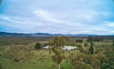 Cauquenes, campo de rulo, ideal para viñas