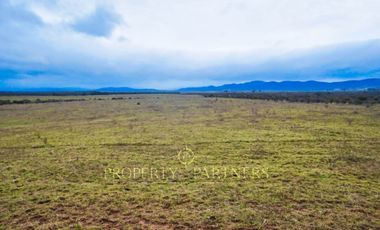 Cauquenes, campo de rulo, ideal para viñas