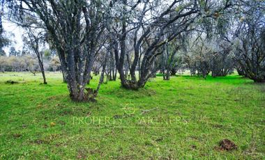 Cauquenes, campo de rulo, ideal para viñas