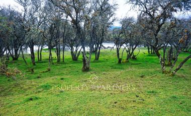 Cauquenes, campo de rulo, ideal para viñas