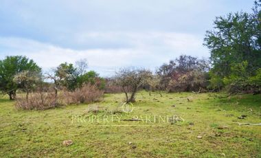 Cauquenes, campo de rulo, ideal para viñas