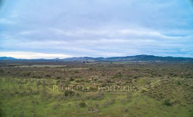 Cauquenes, campo de rulo, ideal para viñas