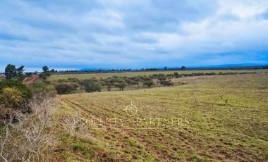 Cauquenes, campo de rulo, ideal para viñas