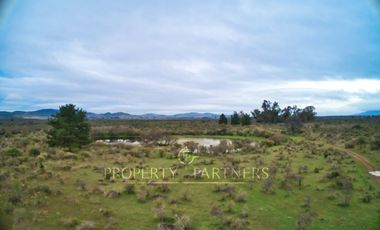 Cauquenes, campo de rulo, ideal para viñas