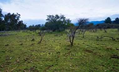 Cauquenes, campo de rulo, ideal para viñas