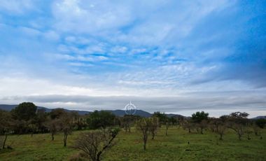 Cauquenes, campo de rulo, ideal para viñas