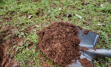 Cauquenes, campo de rulo, ideal para viñas