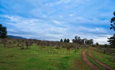 Cauquenes, campo de rulo, ideal para viñas