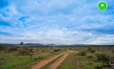 Cauquenes, campo de rulo, ideal para viñas