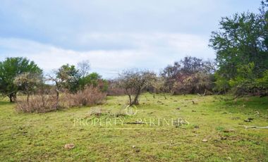 Cauquenes, campo de rulo, ideal para viñas