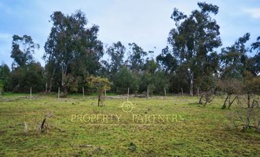 Cauquenes, campo de rulo, ideal para viñas