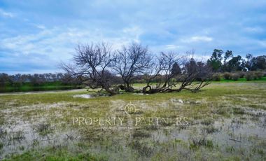 Cauquenes, campo de rulo, ideal para viñas