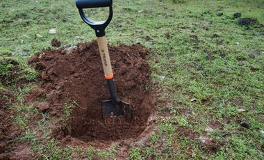 Cauquenes, campo de rulo, ideal para viñas