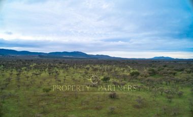 Cauquenes, campo de rulo, ideal para viñas