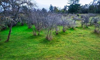 Cauquenes, campo de rulo, ideal para viñas
