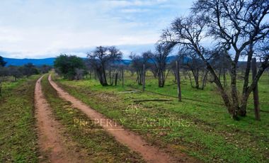 Cauquenes, campo de rulo, ideal para viñas