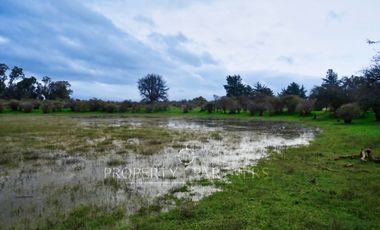 Cauquenes, campo de rulo, ideal para viñas
