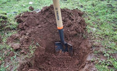 Cauquenes, campo de rulo, ideal para viñas