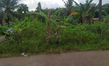 Jual Murah Tanah Km 16 Banyuasin