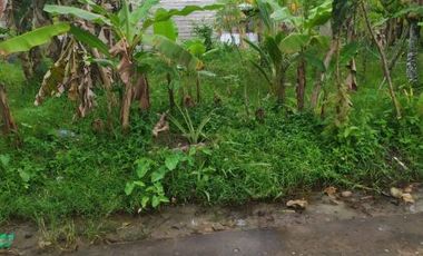 Jual Murah Tanah Km 16 Banyuasin