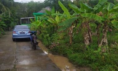 Jual Murah Tanah Km 16 Banyuasin