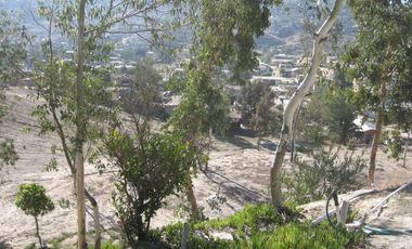 Gran extension de tierra en venta en Col. Cañon del Sainz