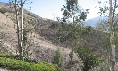 Gran extension de tierra en venta en Col. Cañon del Sainz