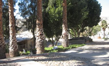 Gran extension de tierra en venta en Col. Cañon del Sainz