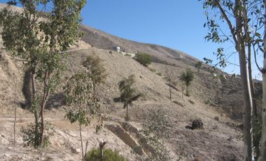 Gran extension de tierra en venta en Col. Cañon del Sainz