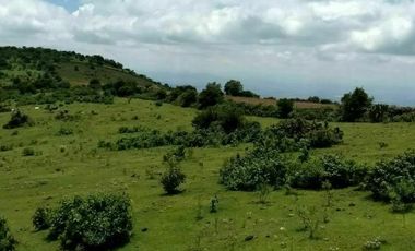 TERRENO EN VENTA  SANTA ROSA DE JAUREGUI, QUERETARO 300HA. TODO EN REGLA