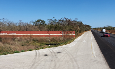 Terreno comercial sobre carretera Conkal-Chicxulub Puerto en venta o renta.