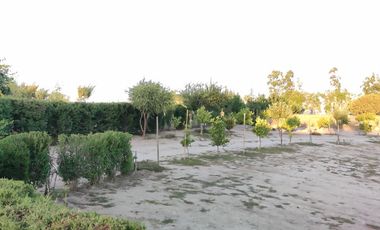 Casa Principal, Con Bodega Y Gallineros