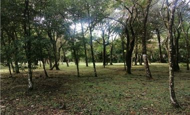 ✅VENTA LOTE VALLE DE ANTON