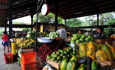 ✅VENTA LOTE VALLE DE ANTON