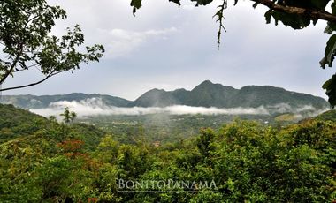 ✅VENTA LOTE VALLE DE ANTON