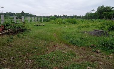 Tanah kavling di Satriyan, Kanigoro