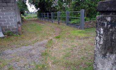 Tanah kavling di Satriyan, Kanigoro