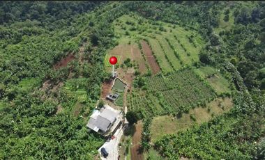 MP117 Dijual Tanah Untuk Resort / Villa || Cigombong Tugujaya bogor || View Pegunungan || LT 1,7 Ha