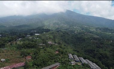 MP117 Dijual Tanah Untuk Resort / Villa || Cigombong Tugujaya bogor || View Pegunungan || LT 1,7 Ha