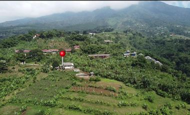 MP117 Dijual Tanah Untuk Resort / Villa || Cigombong Tugujaya bogor || View Pegunungan || LT 1,7 Ha