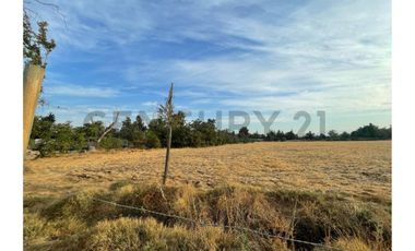 SE VENDE TERRENO URBANO PARA INVERSIÓN EN CHICUREO