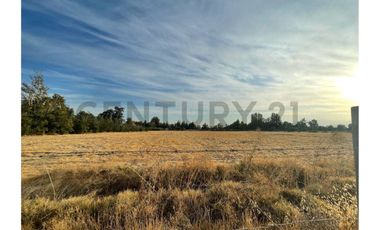 SE VENDE TERRENO URBANO PARA INVERSIÓN EN CHICUREO