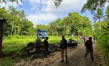 Rumah Dijual Murah Di Jogja Butuh Uang