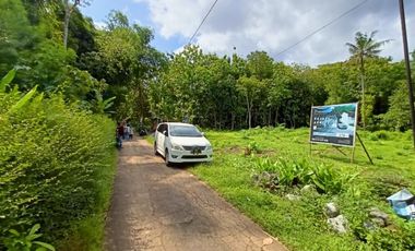 Rumah Dijual Murah Di Jogja Butuh Uang