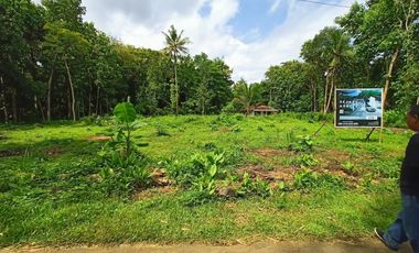 Rumah Dijual Murah Di Jogja Butuh Uang