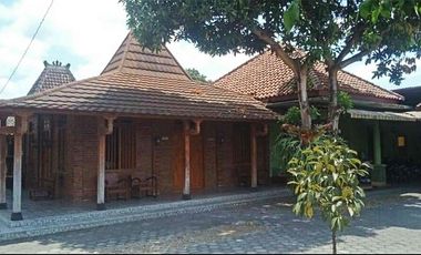 RUMAH LUAS DESAIN JOGLO JAWA DI TENGAH KOTA JOGJA